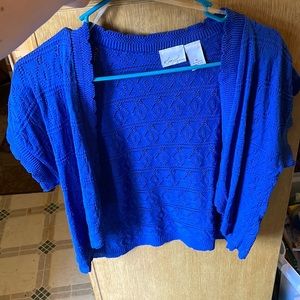 Blue, scallop cut shawl